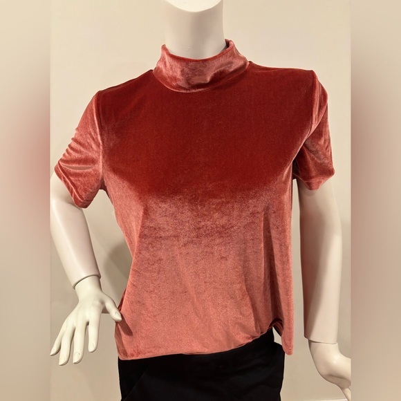 Madewell Tops - Madewell Women’s Burnished Rust Velvet Mockneck Tee, size L